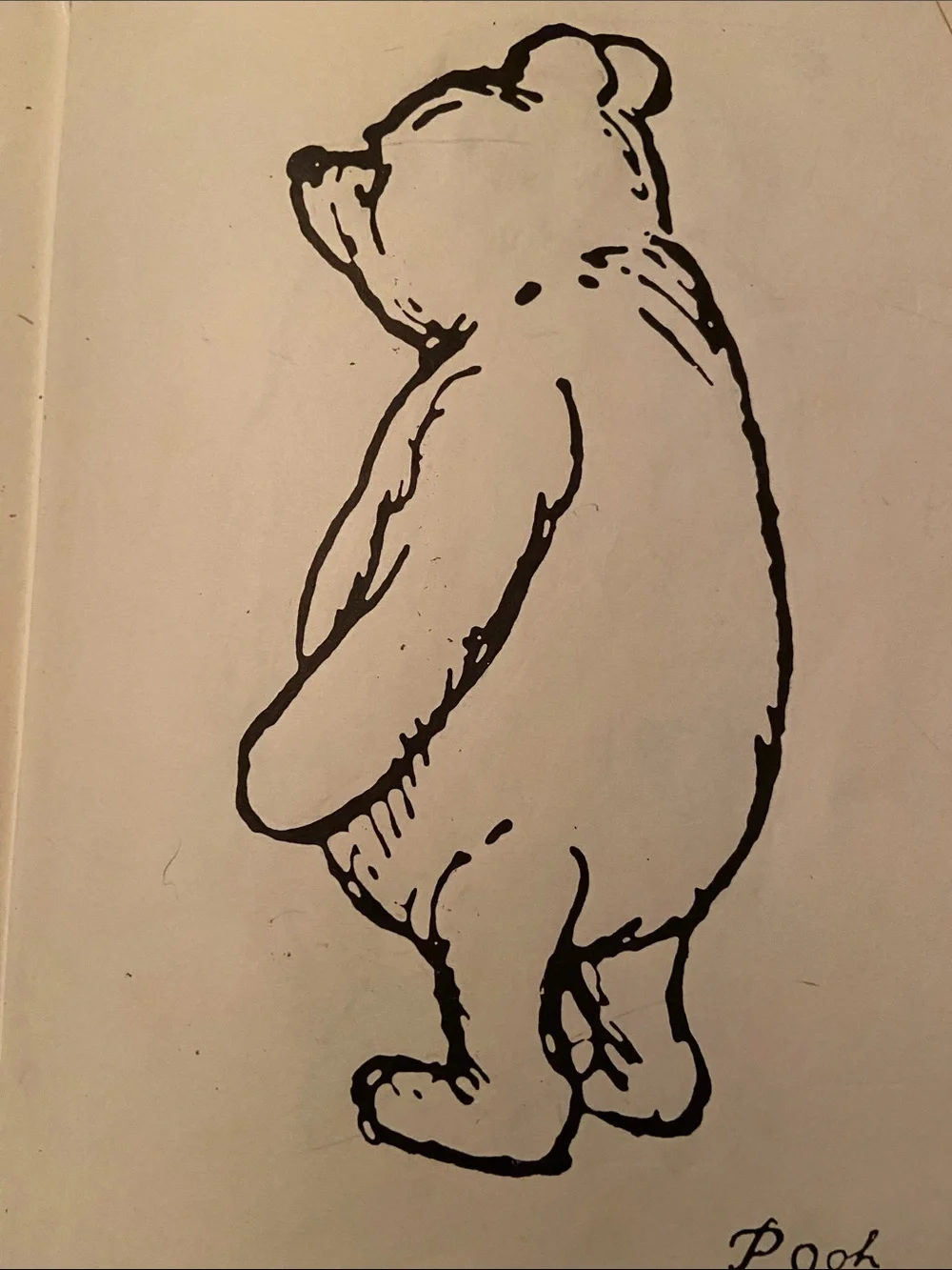 Winnie-the-Pooh book you